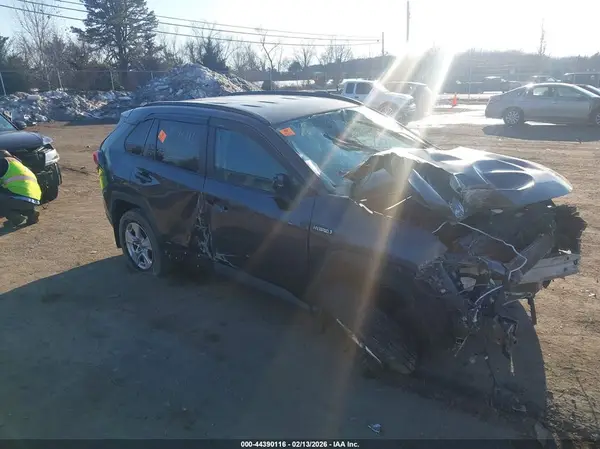 2T3MWRFV8LW068554 2020 TOYOTA RAV 4 - Image 1