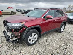 2T3MWRFV8MW120489 2021 TOYOTA RAV 4