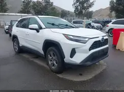 2T3MWRFV8RW223127 2024 TOYOTA RAV 4