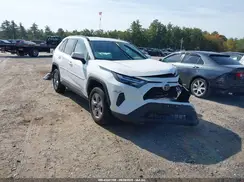 2T3MWRFV8RW238243 2024 TOYOTA RAV 4