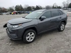 2T3MWRFV9KW004800 2019 TOYOTA RAV 4