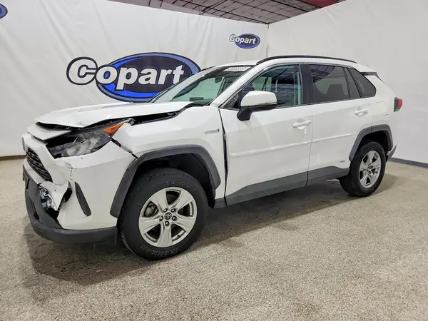 2T3MWRFV9KW016963 2019 TOYOTA RAV 4 - Image 1