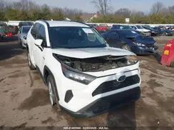 2T3MWRFV9LW050872 2020 TOYOTA RAV 4