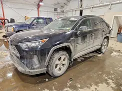 2T3MWRFV9LW054632 2020 TOYOTA RAV 4