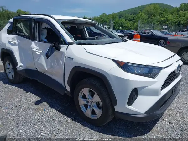 2T3MWRFV9LW094290 2020 TOYOTA RAV 4 - Image 1
