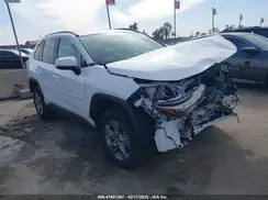 2T3MWRFV9RW221810 2024 TOYOTA RAV 4