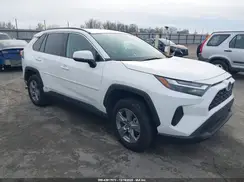 2T3MWRFV9RW232242 2024 TOYOTA RAV 4