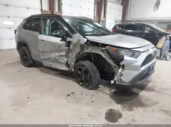 2T3MWRFVXKW013814 2019 TOYOTA RAV 4