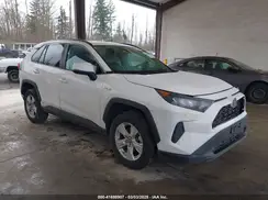 2T3MWRFVXKW027826 2019 TOYOTA RAV 4