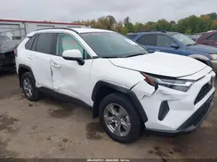 2T3MWRFVXPW181864 2023 TOYOTA RAV 4