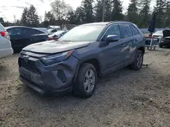2T3MWRFVXRW212176 2024 TOYOTA RAV 4
