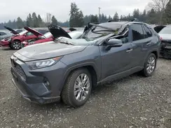 2T3N1RFV0KC017231 2019 TOYOTA RAV 4