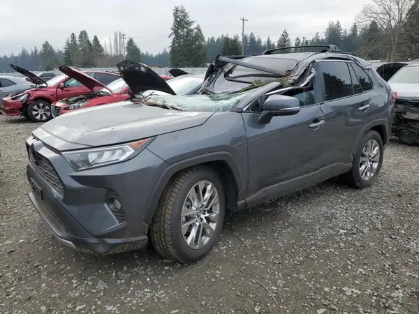 2T3N1RFV0KC017231 2019 TOYOTA RAV 4 - Image 1