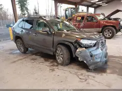 2T3N1RFV4KC054797 2019 TOYOTA RAV 4