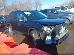 2T3N1RFV4PW407058 2023 TOYOTA RAV 4