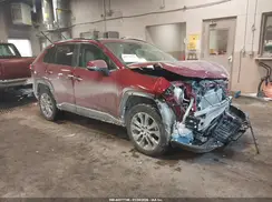 2T3N1RFV5PW407389 2023 TOYOTA RAV 4