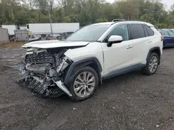 2T3N1RFV7KC015587 2019 TOYOTA RAV 4