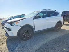 2T3NFREV4GW257326 2016 TOYOTA RAV 4