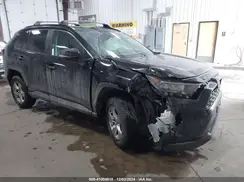 2T3P1RFV0KC003869 2019 TOYOTA RAV 4