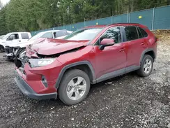 2T3P1RFV0KC022924 2019 TOYOTA RAV 4