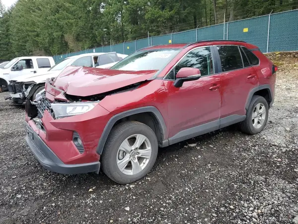 2T3P1RFV0KC022924 2019 TOYOTA RAV 4 - Image 1