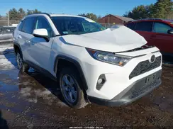 2T3P1RFV0KC053445 2019 TOYOTA RAV 4