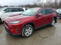 2T3P1RFV0MW144037 2021 TOYOTA RAV 4