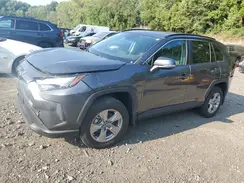 2T3P1RFV0PC331350 2023 TOYOTA RAV 4