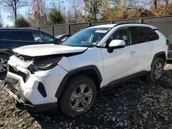 2T3P1RFV0PC344745 2023 TOYOTA RAV 4