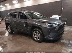 2T3P1RFV0PC346821 2023 TOYOTA RAV 4