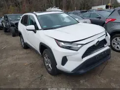 2T3P1RFV0PC353736 2023 TOYOTA RAV 4