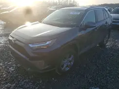2T3P1RFV0PC357057 2023 TOYOTA RAV 4