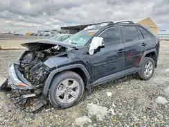 2T3P1RFV0PW379073 2023 TOYOTA RAV 4
