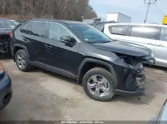 2T3P1RFV0RC398341 2024 TOYOTA RAV 4