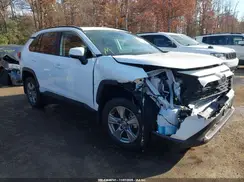 2T3P1RFV0RC415977 2024 TOYOTA RAV 4