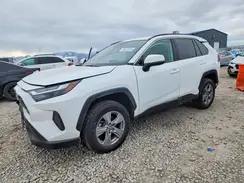 2T3P1RFV0RC428129 2024 TOYOTA RAV 4