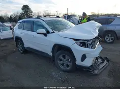 2T3P1RFV0RC447702 2024 TOYOTA RAV 4