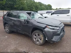 2T3P1RFV0RC480747 2024 TOYOTA RAV 4