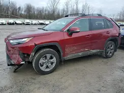 2T3P1RFV0RW427545 2024 TOYOTA RAV 4