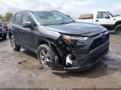 2T3P1RFV0RW436052 2024 TOYOTA RAV 4