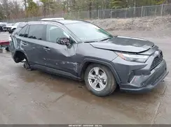 2T3P1RFV0RW446984 2024 TOYOTA RAV 4