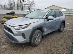 2T3P1RFV0RW462621 2024 TOYOTA RAV 4