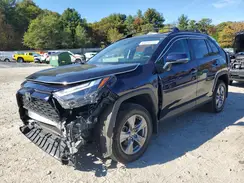 2T3P1RFV0RW488507 2024 TOYOTA RAV 4
