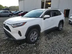 2T3P1RFV0SC502719 2025 TOYOTA RAV 4