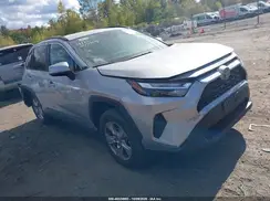 2T3P1RFV0SC520377 2025 TOYOTA RAV 4