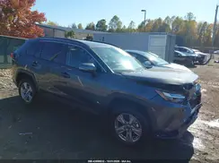 2T3P1RFV0SW546038 2025 TOYOTA RAV 4