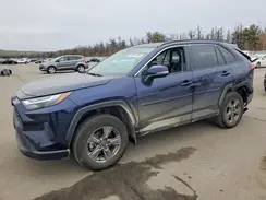 2T3P1RFV0SW547061 2025 TOYOTA RAV 4