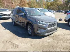 2T3P1RFV0SW552518 2025 TOYOTA RAV 4