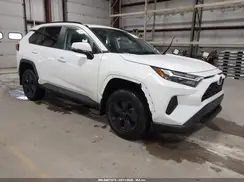 2T3P1RFV0SW564782 2025 TOYOTA RAV 4