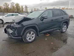 2T3P1RFV0SW570971 2025 TOYOTA RAV 4